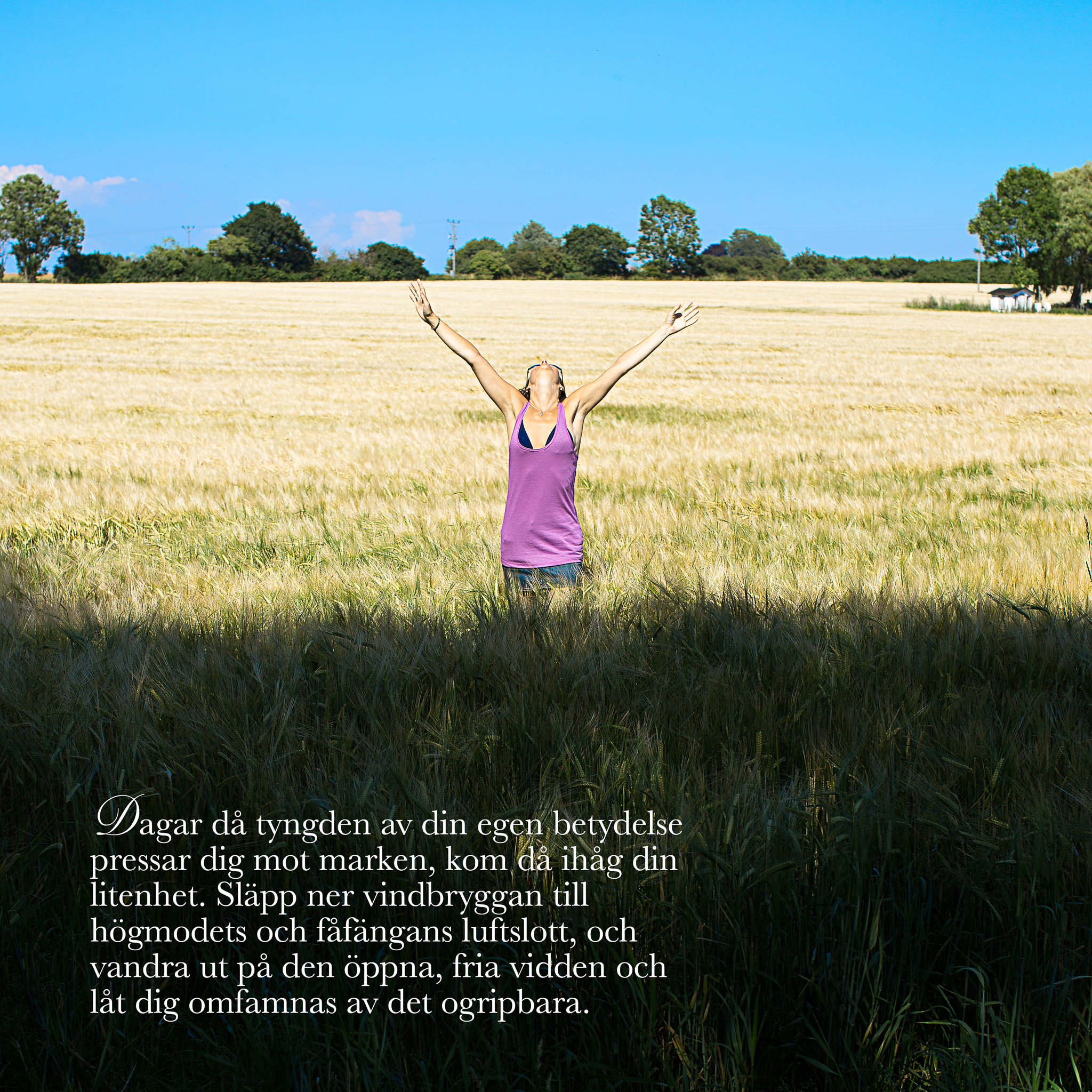 Den nuvarande bilden har ingen alternativ text. Filnamnet är: 18072014-20140718-2006.jpg
